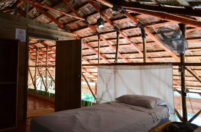 Hostel La Ballena Backpacker room bed